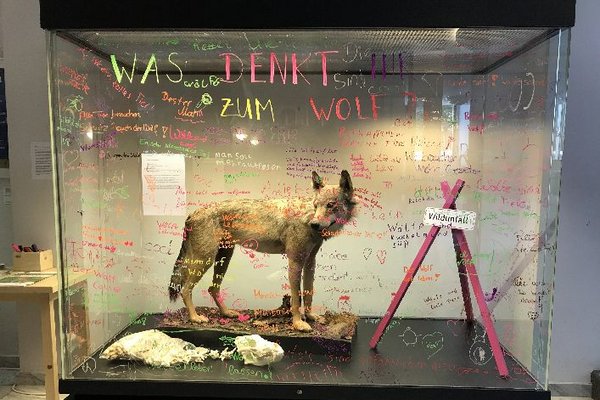 Ausnahmsweise dürfen die Besucherinnen und Besucher ihre Meinung – hier zum Thema Wolf – auf die Scheiben der Vitrine schreiben