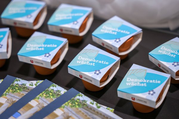 Bild: © Focke Strangmann Kleine Blumentöpfe in bunten Papp-Verpackungen mit der Aufschrift "Demokratie wächst"