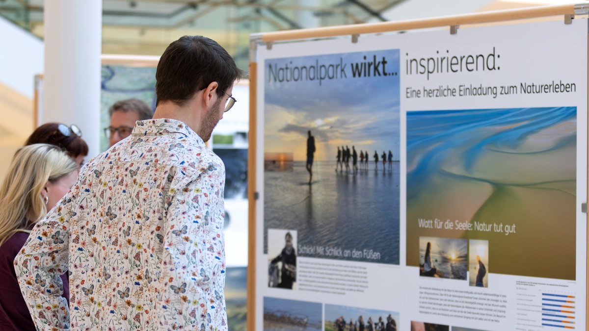 Eine Person betrachtetz einen Aufsteller zum Thema "Nationalpark wirkt inspirierend" mit Landschaftsfotos vom Wattenmeer.