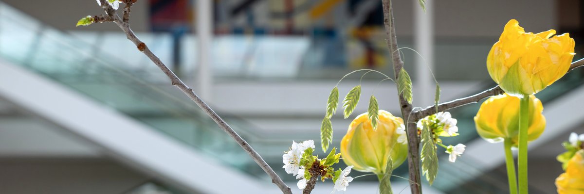 Gelbe Blumen im Vordergrund. Im Hintergrund die Niedersachsentreppe in der Portikushalle.