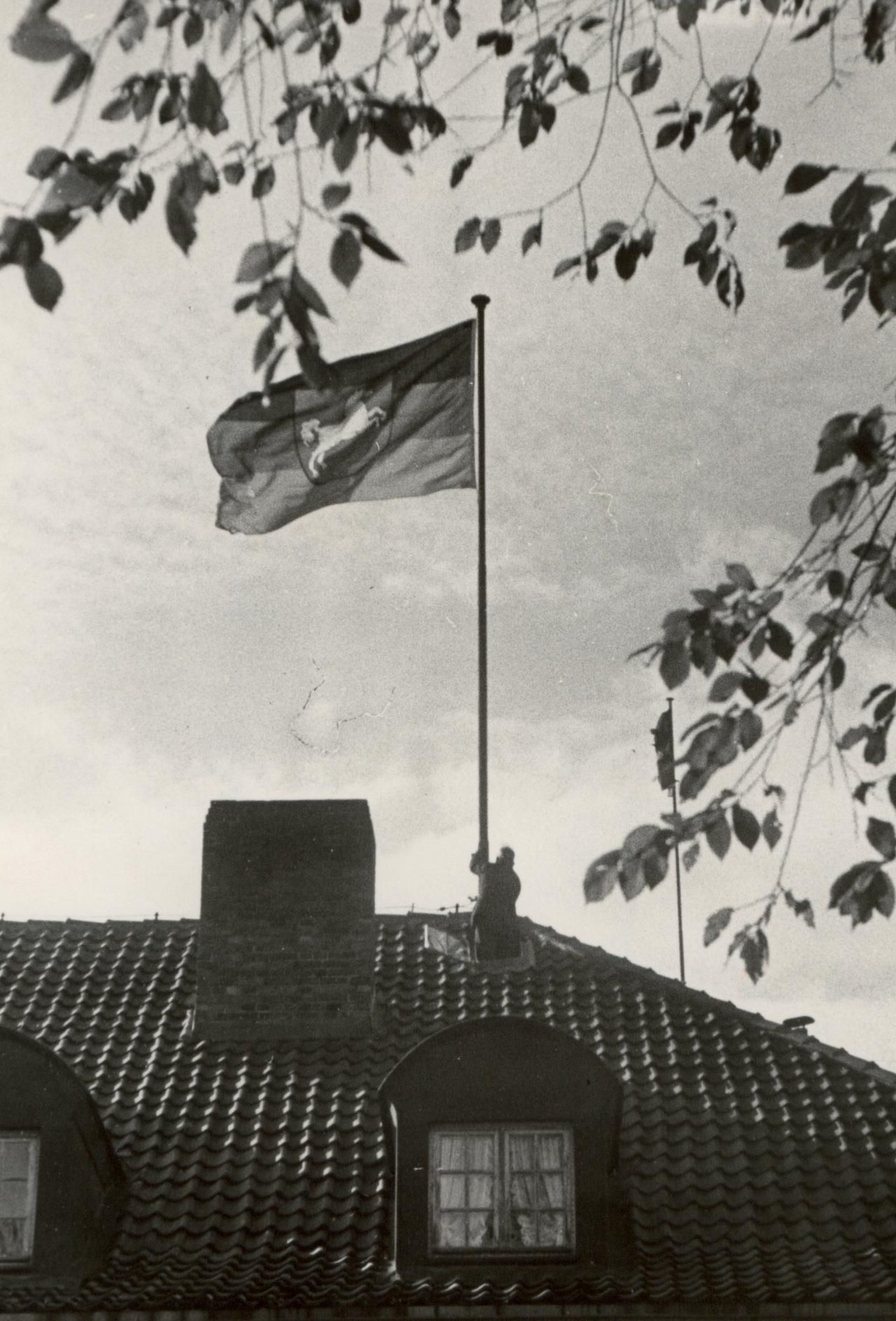 Hissen der Niedersächsischen Landesflagge nach der Verabschiedung des Gesetzes über Wappen, Flaggen und Siegel am 8. Oktober 1952.