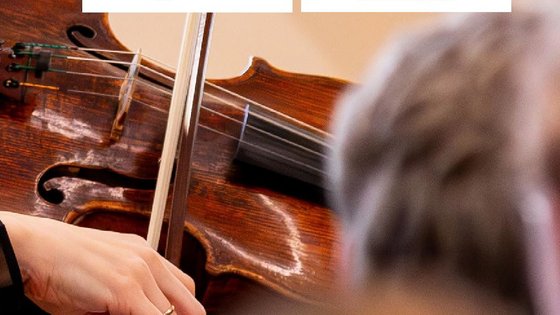 Eine Hand, die Geige spielt und die Logos "Landtag Niedersachsen" und "Villa Seligmann"