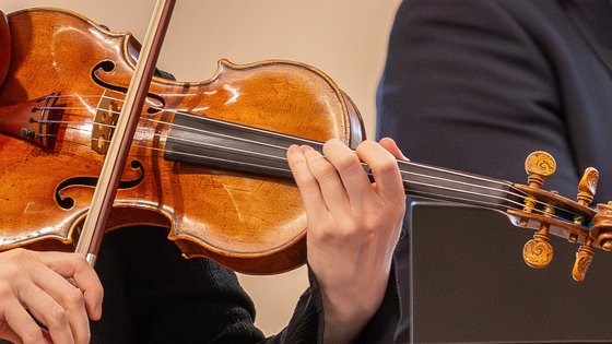 Eine Hand, die Geige spielt und die Logos "Landtag Niedersachsen" und "Villa Seligmann"