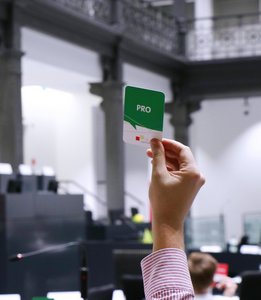 Pro oder Contra? Mit handlichen Karten wird abgestimmt.