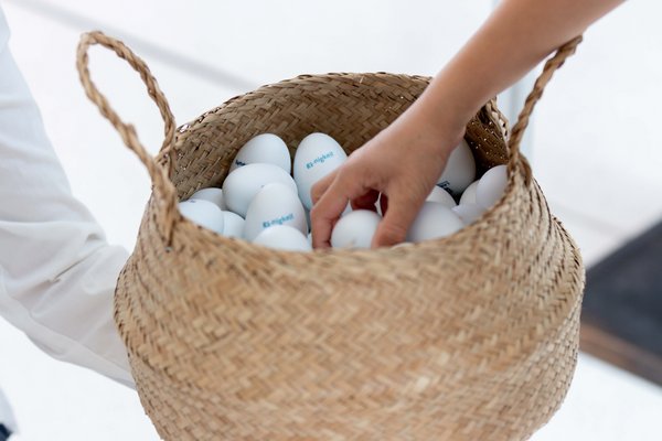 Ein Korb mit bedruckten Rhythmuseiern und eine Kinderhand, die sich eines aus dem Korb nimmt. Die Eier sind weiß und mit Sprüchen wie "Ei-nigkeit", Demokrat-Ei" sowie dem Logo des Landtages bedruckt.