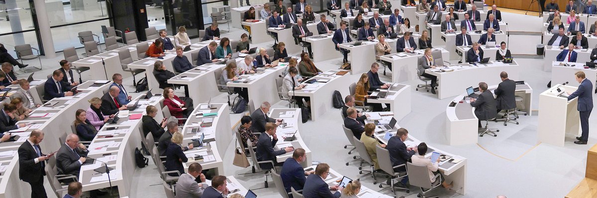 Abgeordnete im Plenarsaal