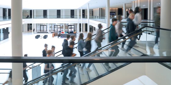 Besuchergruppe auf der Niedersachsentreppe