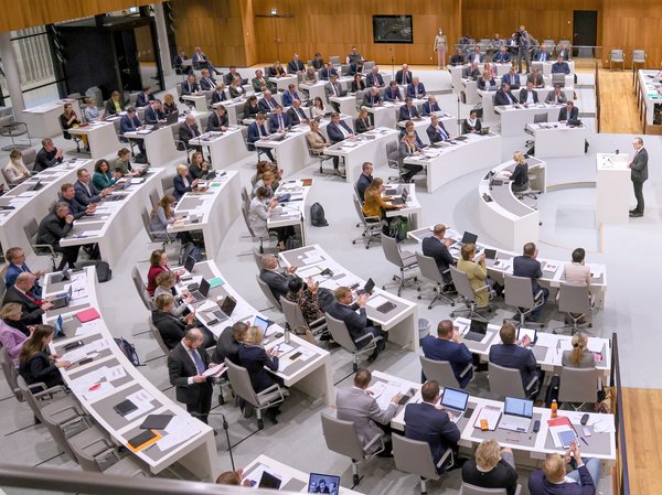 Abgeordnete im Plenarsaal