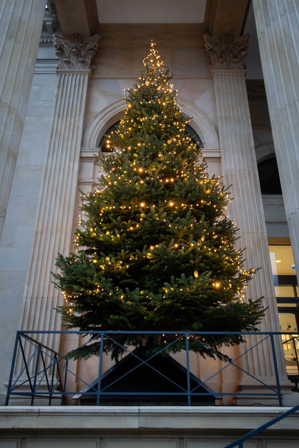 Beleuchteter Weihnachtsbaum am Portikus in der Dämmerung