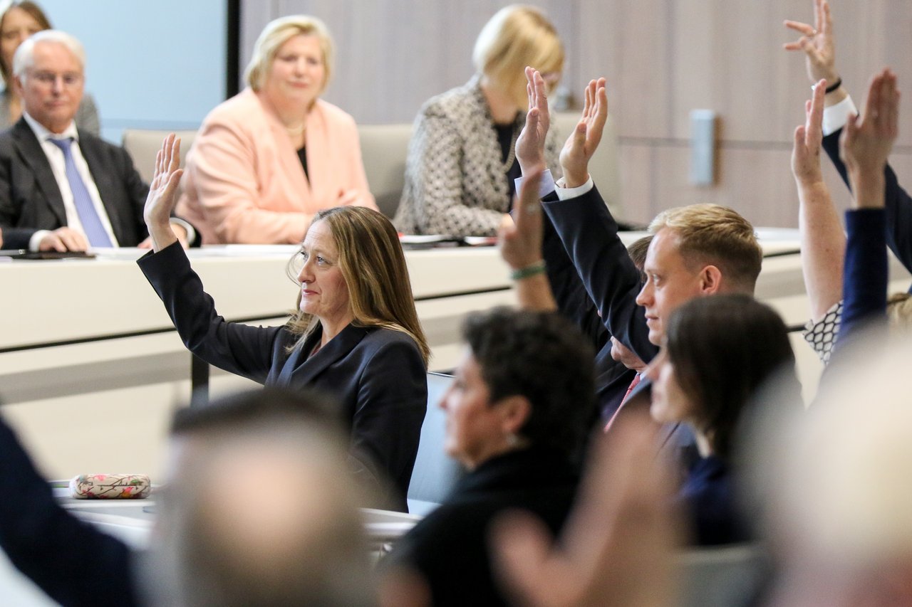 Vote by show of hands in the plenary hall. 