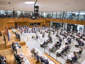 The plenary session: the full meeting of all MPs. 