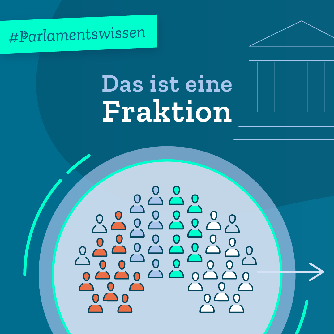 Infografik Teil 1 von 5: Das ist eine Fraktion