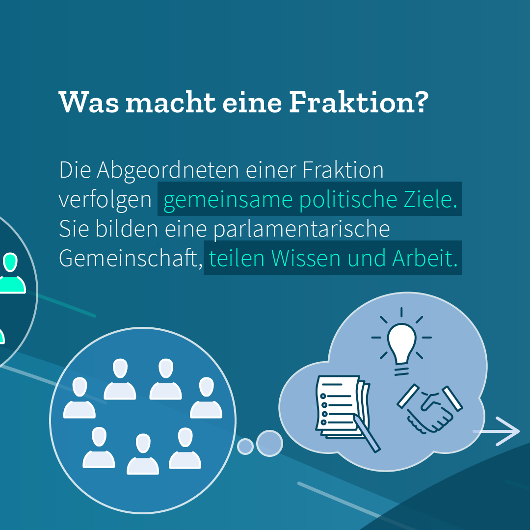 Infografik Teil 3 von 5: Die Abgeordneten einer Fraktion verfolgen gemeinsame Ziele und teilen Wissen und Arbeit.