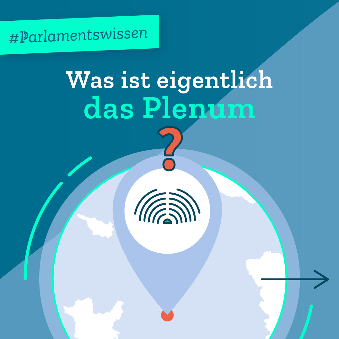 Infografik Teil 1 von 4: Was ist eigentlich das Plenum?