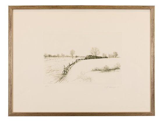 Viehweide bei Bissendorf