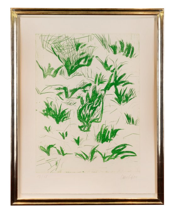 Seeadler (grün) 