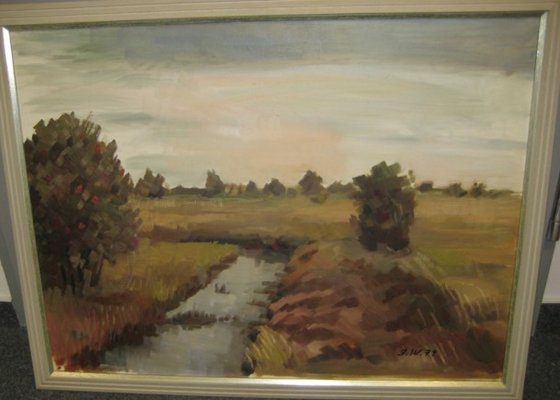 Abendstimmung im Hochmoor